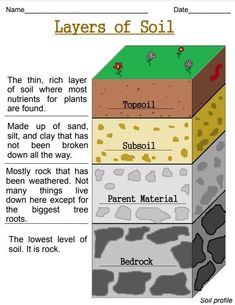 layers of soil are shown in this diagram