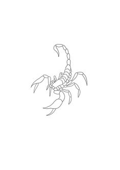 a black and white drawing of a scorpion