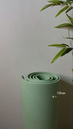 a roll of yoga mat next to a bamboo plant