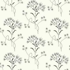 a black and white flower pattern on a light gray wallpaper with dandelions