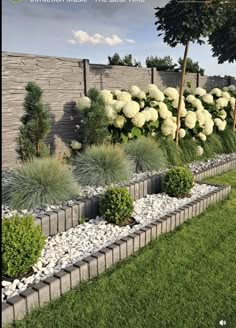 a garden with white flowers and rocks in it