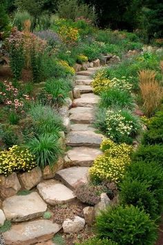 a stone path in the middle of a garden