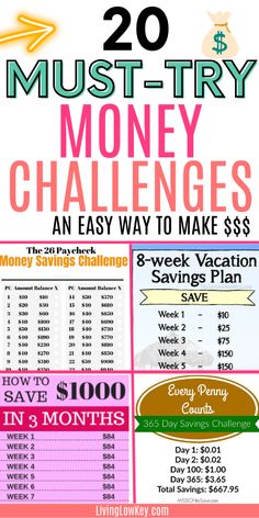 the 20 must try money challenge poster