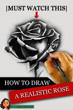 how to draw a realistic rose