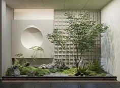 a room that has some plants and rocks on the ground in front of it,