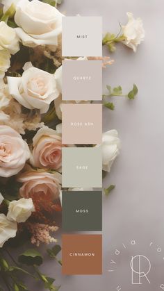 A color palette featuring soft earth tones: brown, moss green, sage green, muted rose, blush, and grey. These harmonious and natural hues create a soothing and elegant combination, perfect for branding, design projects, or weddings. Sage Color Scheme Wedding, Blush Tone Bedroom, Small Nature Wedding Ideas, Wedding Color Palette Earth Tones, Soft Tone Color Palette, Green Earth Tone Wedding, Wedding Color Palette Elegant, Wellness Brand Colour Palette