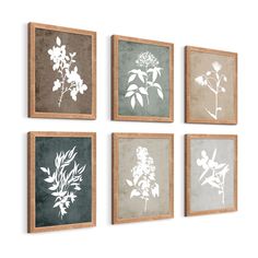 four framed flower prints on a wall in various shades of grey, white and green