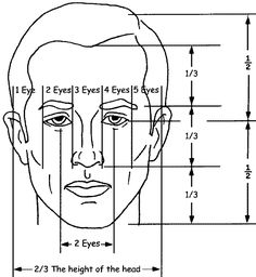 an image of a face with measurements for the eyes and head, as shown in this diagram