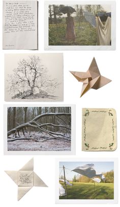 an assortment of folded papers and pictures with trees in the background, including paper origami