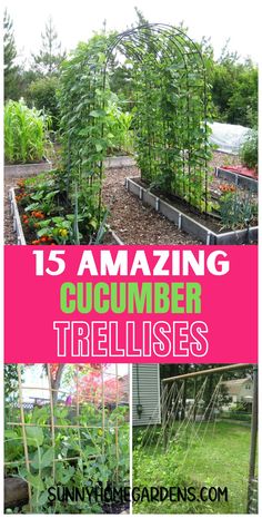 the garden is full of plants and flowers with text overlay that reads 15 amazing cucumber trellises