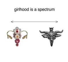 two brooches with flowers on them and an arrow pointing to each other that says, girlhood is a spectrum