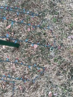 a bird is sitting on the ground next to a wire fence with blue and red pins