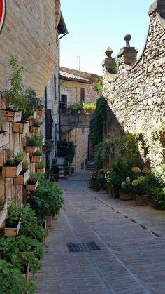 an alley way with potted plants on either side and a stop sign in the middle