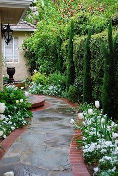 a garden with white flowers and greenery in front of a house on a sunny day