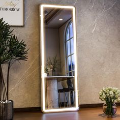 a large mirror sitting on top of a wooden table next to a potted plant