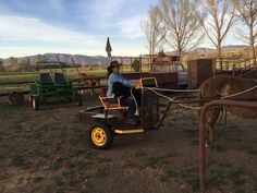 a man riding on the back of a horse drawn carriage in an open field with other horses