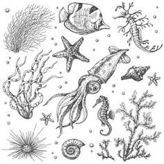 an underwater scene with starfish, seahorses and other marine creatures in blue ink