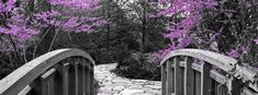 a wooden bridge with purple flowers on the sides and trees in the backround