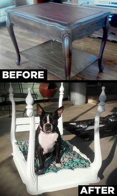 a dog sitting in a chair before and after it was painted white with blue accents