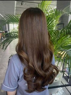 Light Brown Hair Styles, Best Fall Hair Colors, Brown Hair Styles, Light Brown Hair Color, Light Brunette Hair, Rambut Brunette, Beige Hair, Honey Brown Hair, Brown Hair Looks