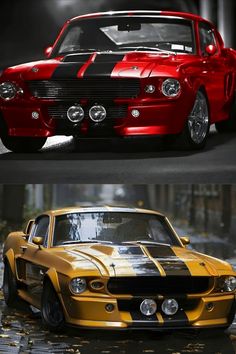 Ford Mustang Shelby Cool Car Pictures, Vintage Classics, Pony Car, Mustang Cars, Beauty Icons, Cool Cars, Car Pictures, Mustang, Cars