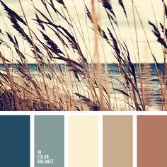 some brown and blue color palettes with the ocean in the background