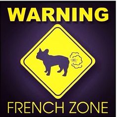 Bulldog Quotes, Best T Shirts, French Bulldog Art, French Bulldog Funny, Frenchie Bulldog, Frenchie Puppy, French Bull