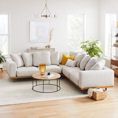 a living room filled with furniture and lots of plants on top of a hard wood floor