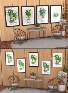 two pictures of plants and chairs in front of a wall with paintings on the walls