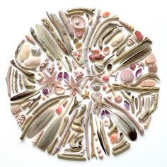 a circular arrangement of shells and seashells arranged in a circle on a white background