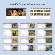 wildlife babys a frame calendar with animals in the middle and numbers on each page