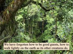 an image of a forest with a quote on it that says we have forgotten how to be good guests, how to walk lightly on the earth as other creatures do