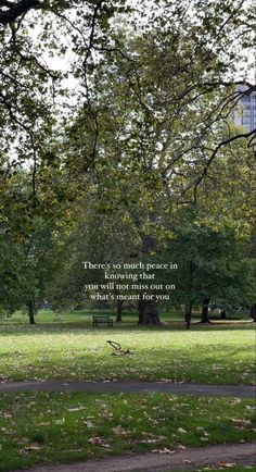 there is much peace in the park than you will mess out on what's meant for you