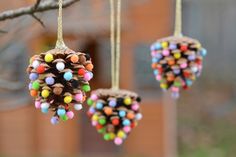 three pine cone ornaments hanging from a tree