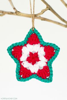 a crocheted star ornament hanging from a twig on a white background