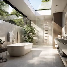 a large bathroom with a skylight above the bathtub