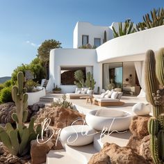 a white house with cactus in front of it