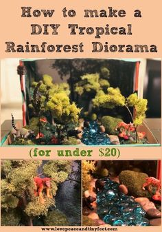 how to make a diy tropical rainforest diorama for under $ 20 with instructions