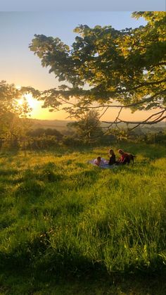 two people are sitting in the grass under a tree at sunset or sunrise, with one person laying down