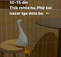 a white duck sitting on top of a wooden stool next to a table and wall