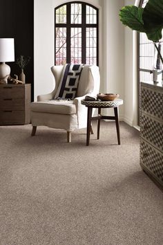 a living room scene with focus on the carpet