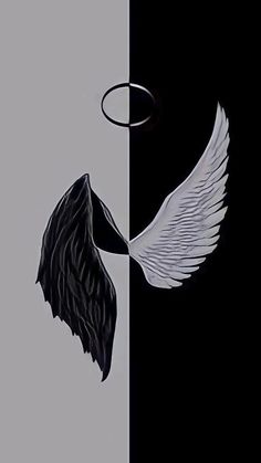 two images one with white wings and the other black