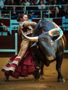 a woman in a red dress is standing next to a bull