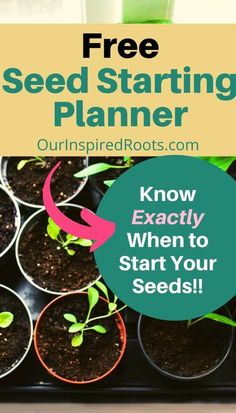 seed starting planner with text overlay that reads know exactly when to start your seeds