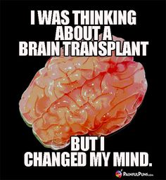 a brain with the caption i was thinking about a brain transplant but i changed my mind