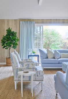 a living room filled with blue furniture and a potted plant on top of a table