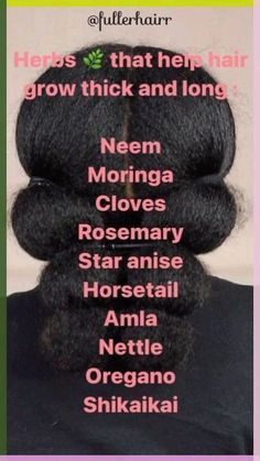 Herbs For Hair Growth, Herbs For Hair, Healthy Natural Hair Growth, Help Hair Grow, Natural Hair Growth Tips, Twisted Hair, Natural Hair Treatments, Hair Care Growth, Hair Growing Tips