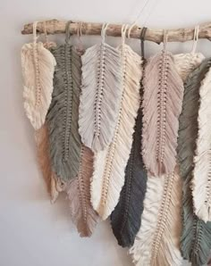 several different colored feathers hanging on a wall