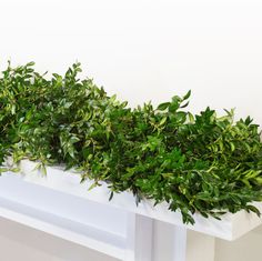 decorative christmas garland leaves leafy green natural Boxwood Garland Christmas, Fresh Garland Mantle, Magnolia And Evergreen Garland, Mixed Greenery Garland, Norfolk Pine Garland, Boxwood Garland, Hudson Grace, Holiday Greenery, Porch Area