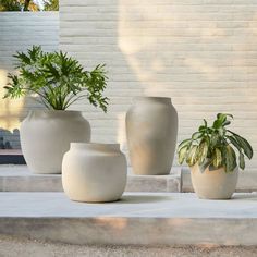 three white vases with plants in them sitting on concrete steps